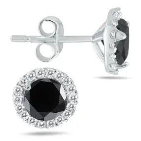 1 1/4 Carat TW Black and White Diamond Halo Earrings in 14K White Gold