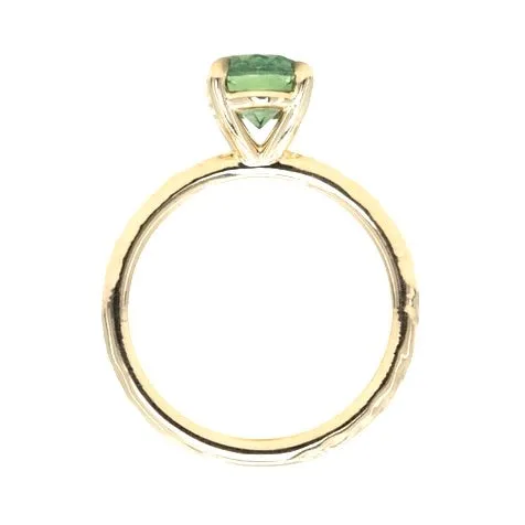 2.23ct Oval Seafoam Montana Sapphire Evergreen Solitaire in 14k Yellow Gold